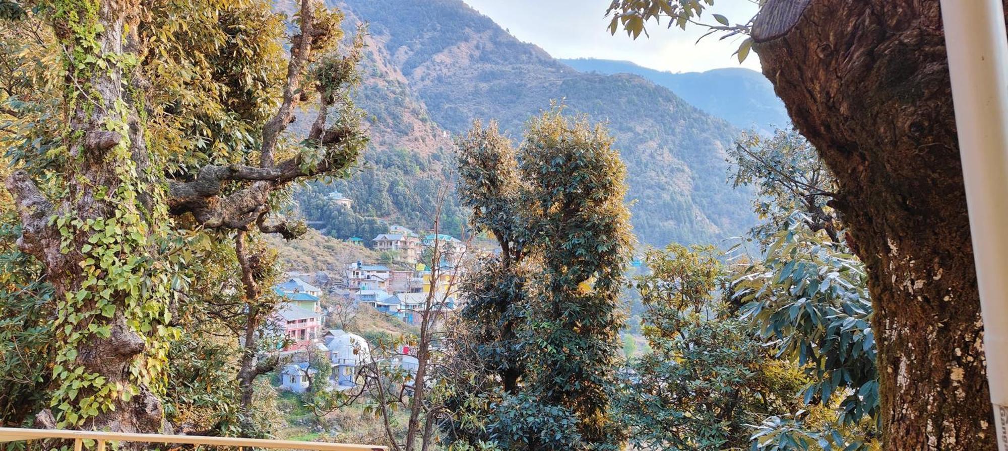 Bed and Breakfast The Unmad - Dharamkot Dharamshala Esterno foto