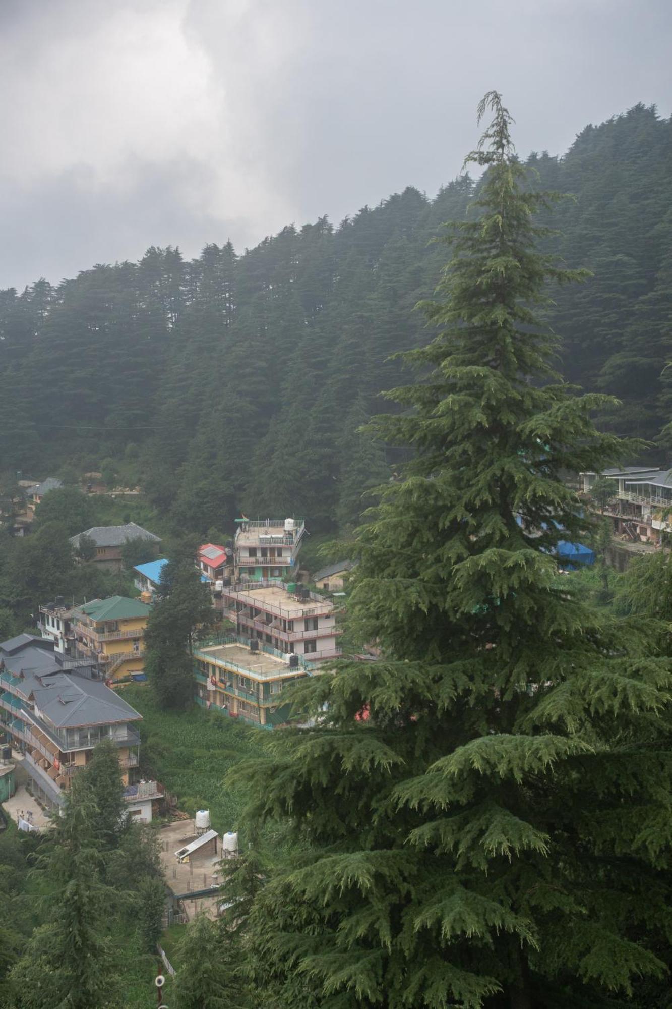 Bed and Breakfast The Unmad - Dharamkot Dharamshala Esterno foto